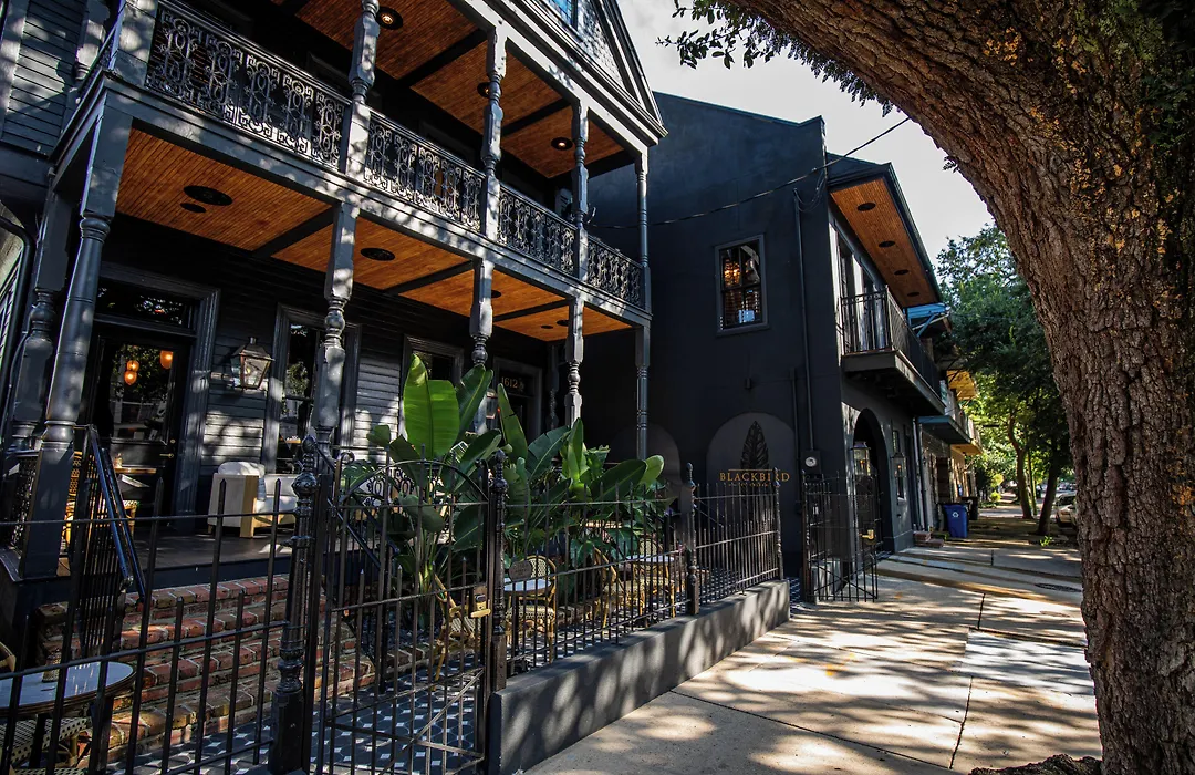 The Prytania Oaks-1